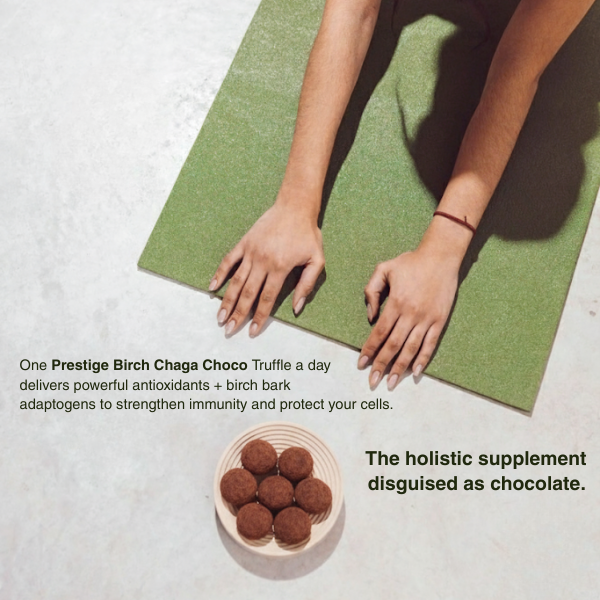 Birch Chaga Cacao